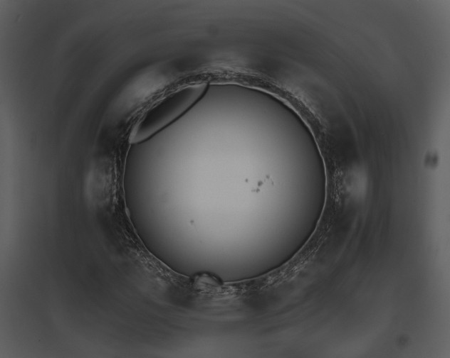 X0000095671111200801151057