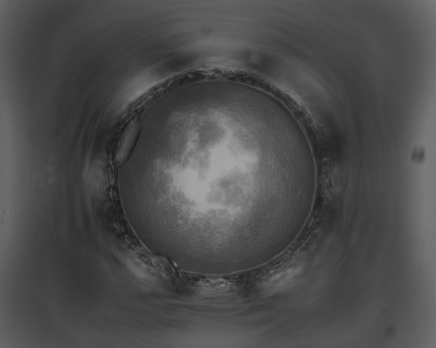 X0000095671112200801151058