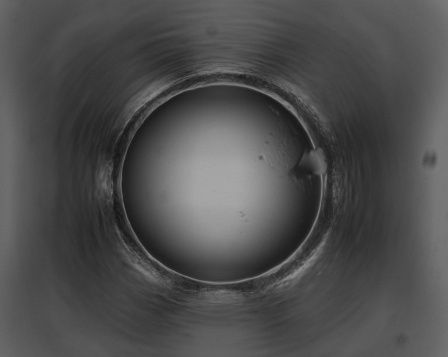 X0000095671113200801151058