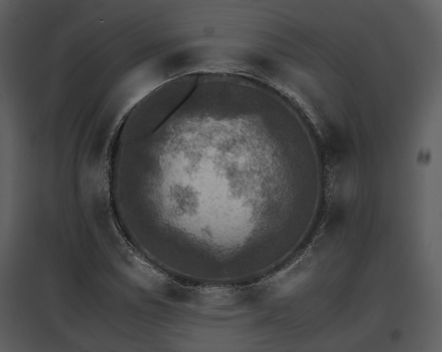 X0000095671114200801151058