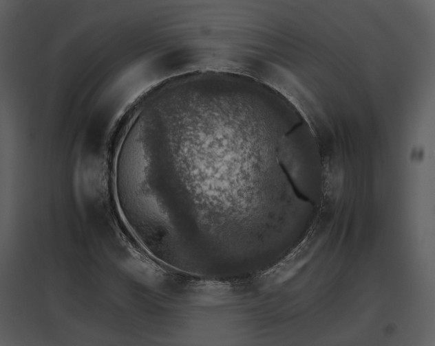 X0000095671115200801151058