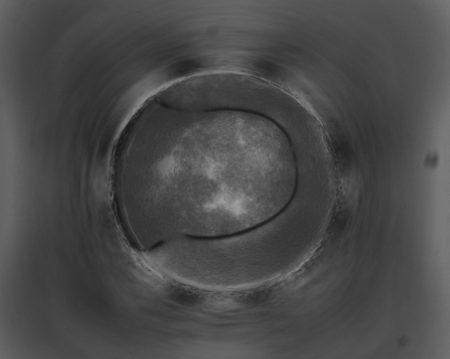 X0000095671116200801151058