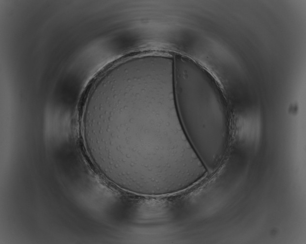 X0000095671117200801151058