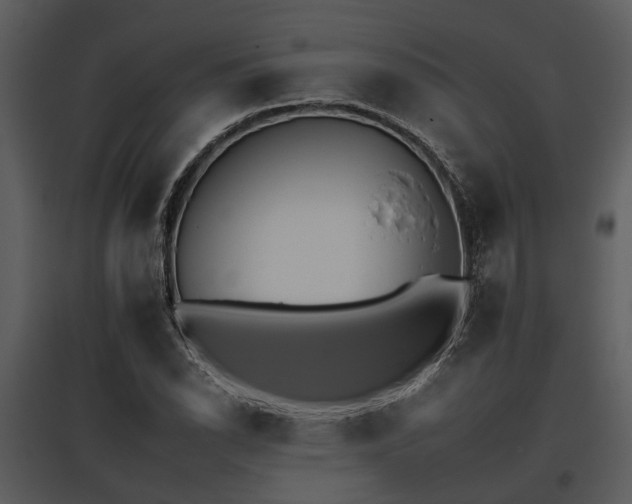 X0000095671118200801151058