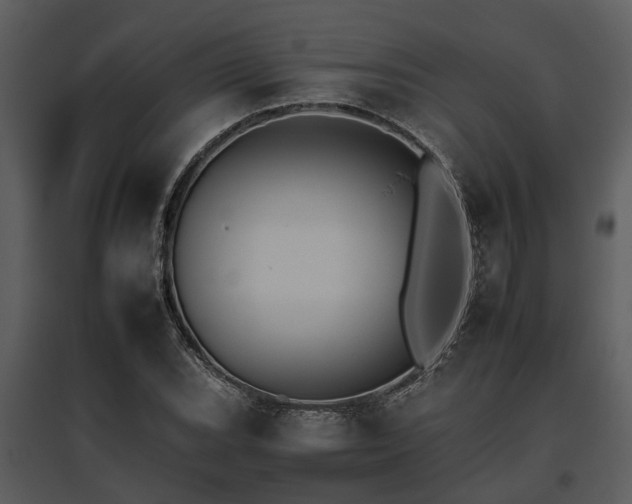 X0000095671119200801151058