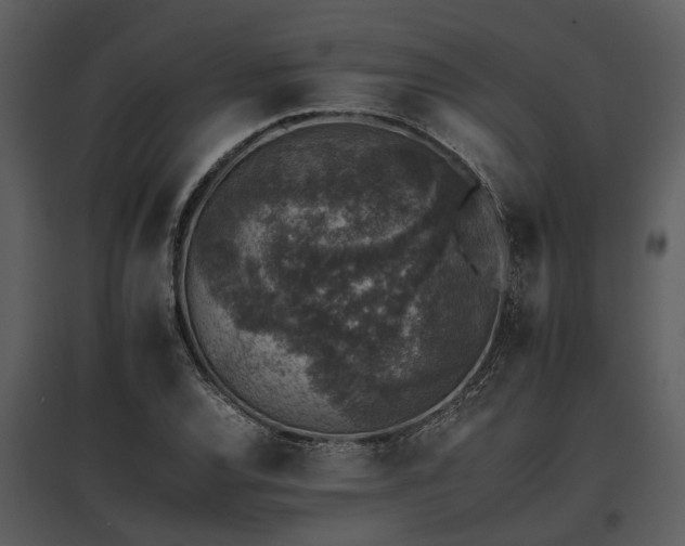 X0000095671120200801151058