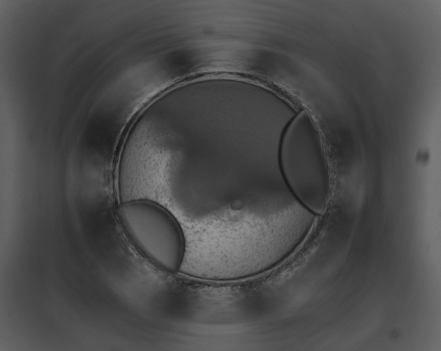 X0000095671121200801151058