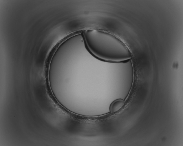 X0000095671122200801151058