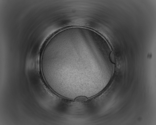 X0000095671123200801151058