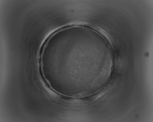 X0000095671124200801151058