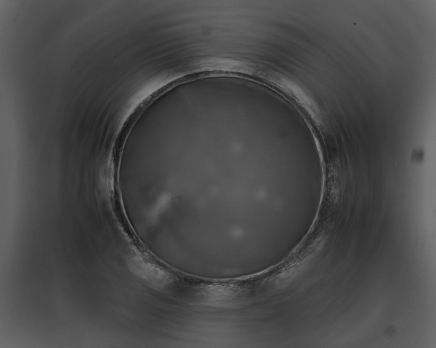 X0000095671125200801151058