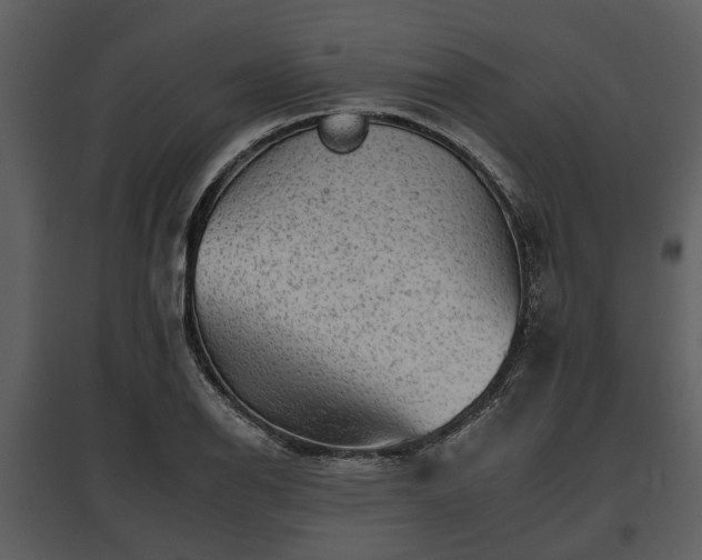 X0000095671126200801151058