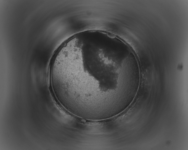 X0000095671127200801151058