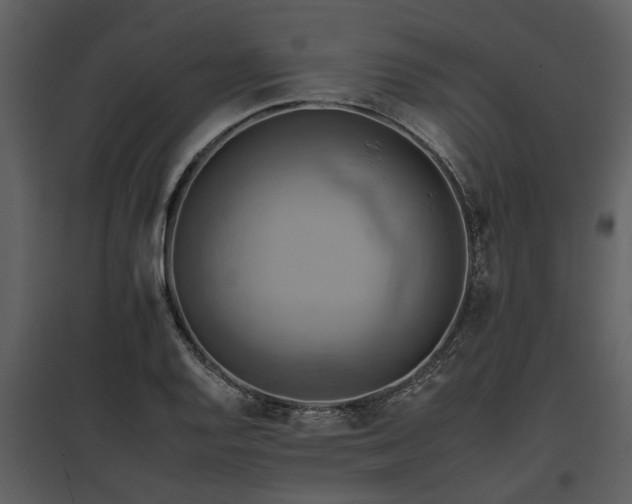 X0000095671128200801151058