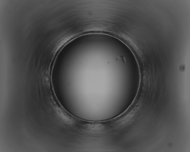 X0000095671129200801151058