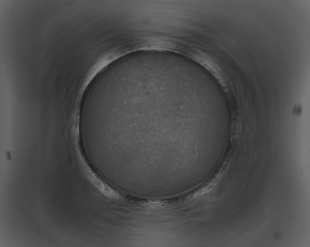 X0000095671130200801151058