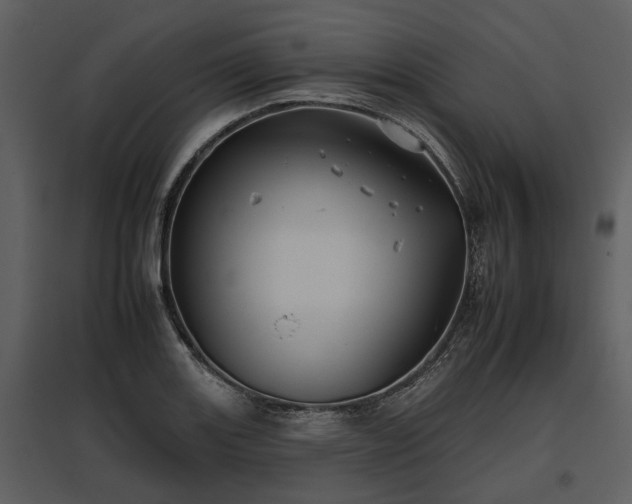 X0000095671131200801151058