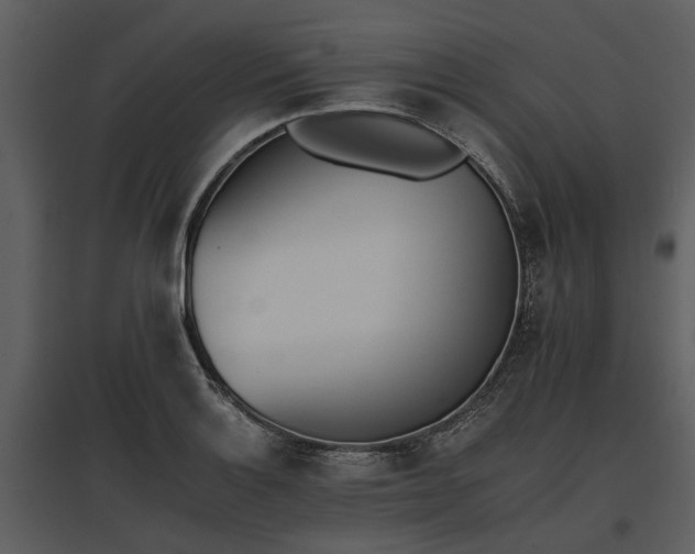 X0000095671132200801151058