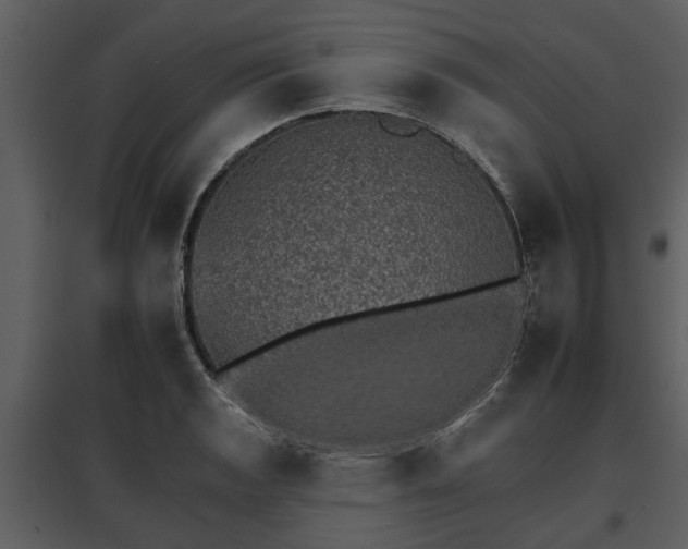 X0000095671133200801151058