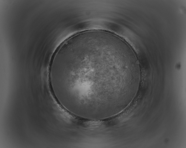 X0000095671134200801151058