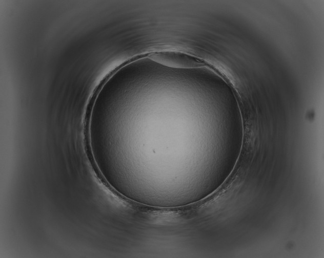 X0000095671135200801151058