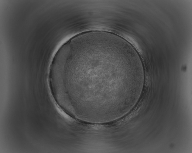 X0000095671136200801151058