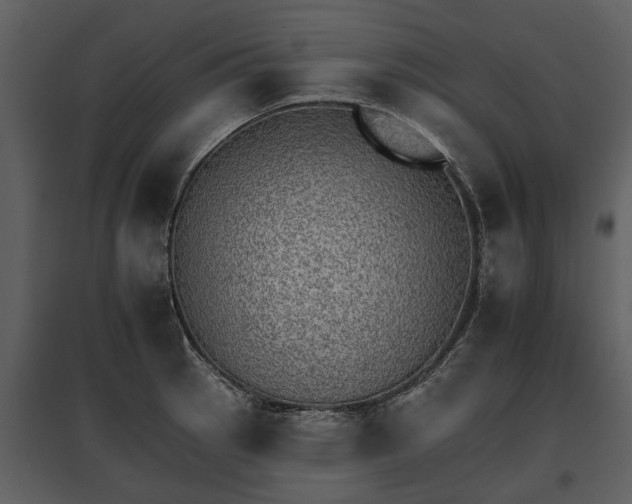 X0000095671137200801151058