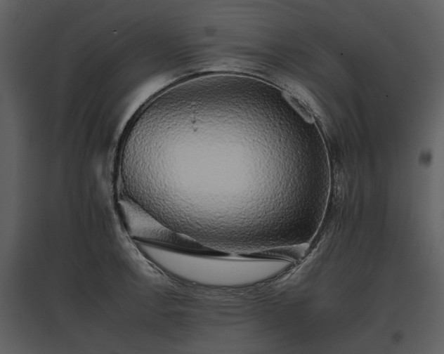 X0000095671138200801151058