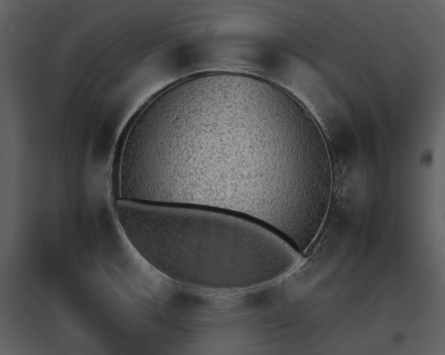 X0000095671139200801151058