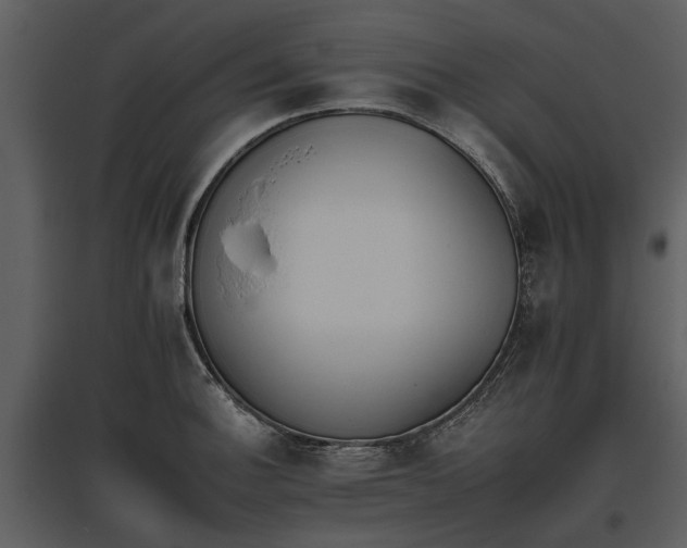 X0000095671140200801151058