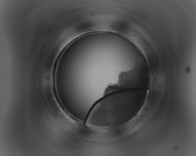 X0000095671141200801151058