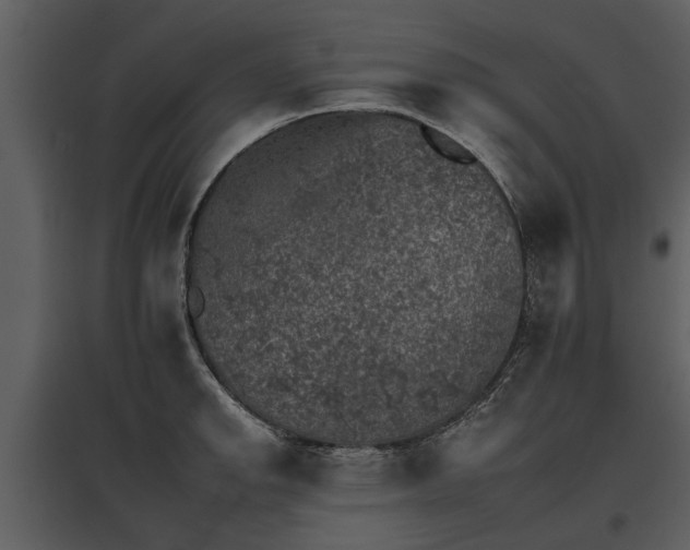 X0000095671142200801151058