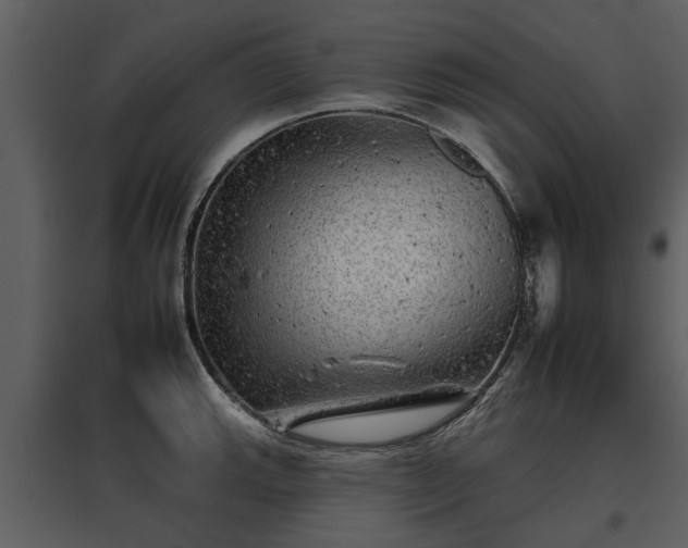 X0000095671143200801151058