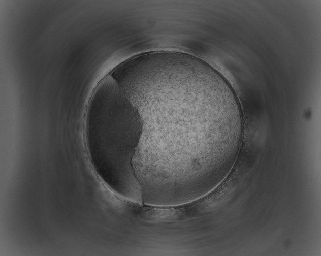 X0000095671144200801151058