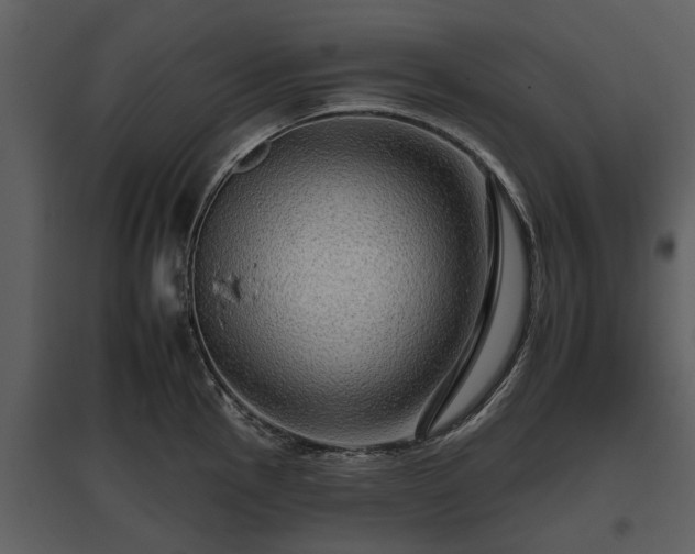 X0000095671145200801151058