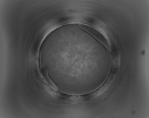 X0000095671146200801151058