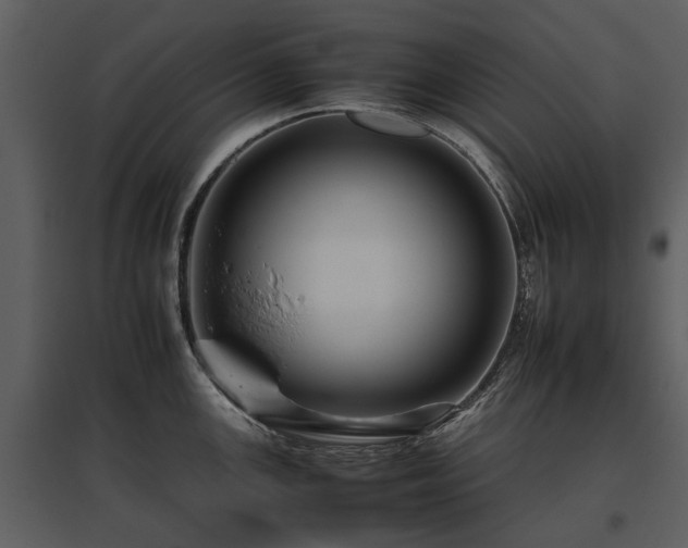 X0000095671147200801151058