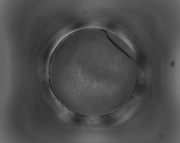 X0000095671148200801151058