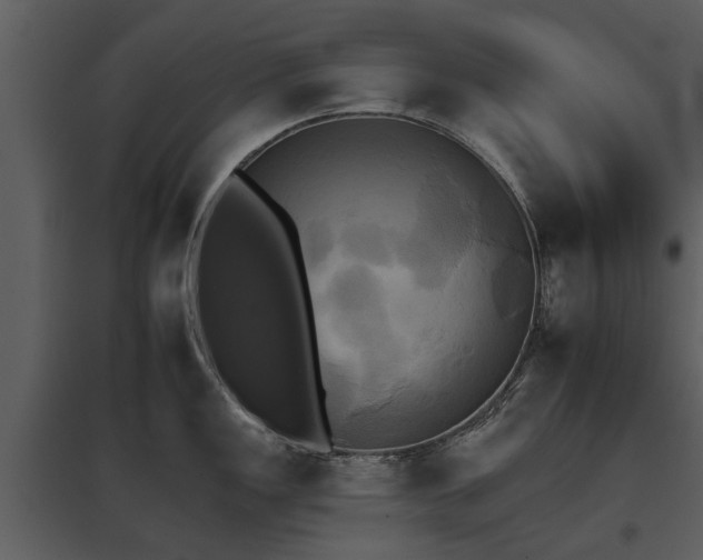 X0000095671149200801151058