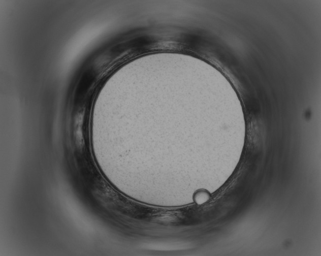 X0000095671150200801151058