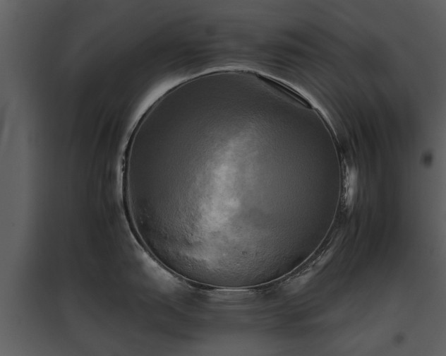 X0000095671151200801151058