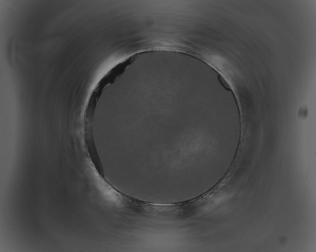 X0000095671152200801151058