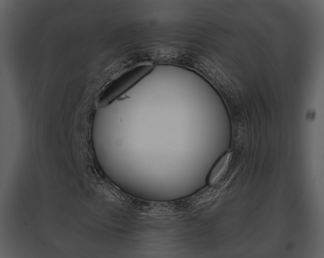 X0000095671153200801151057