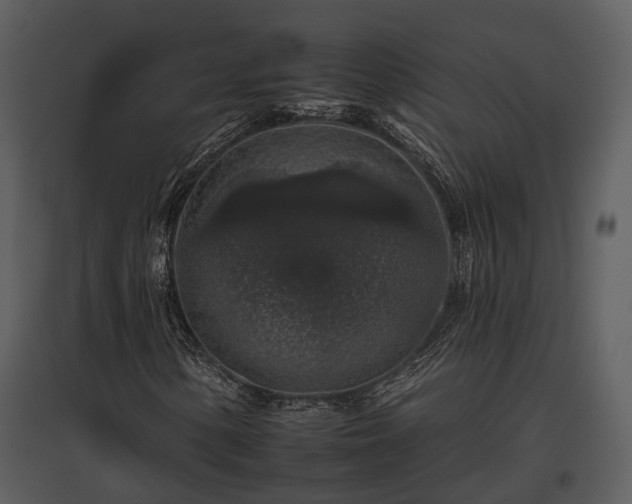 X0000095671154200801151057