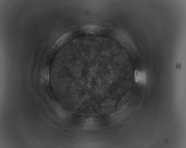 X0000095671155200801151057