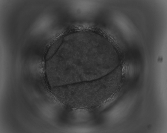 X0000095671156200801151057