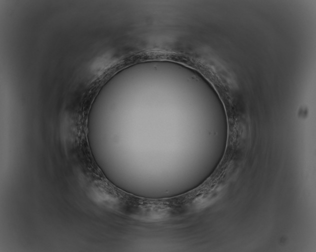 X0000095671157200801151057