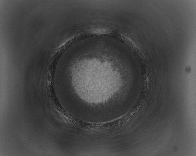 X0000095671158200801151057