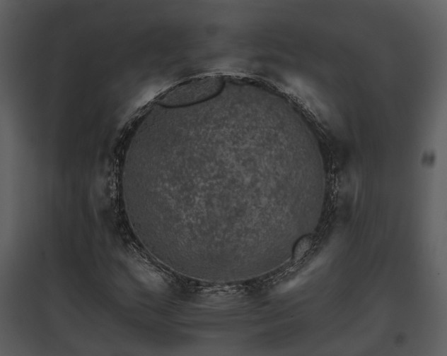 X0000095671159200801151057