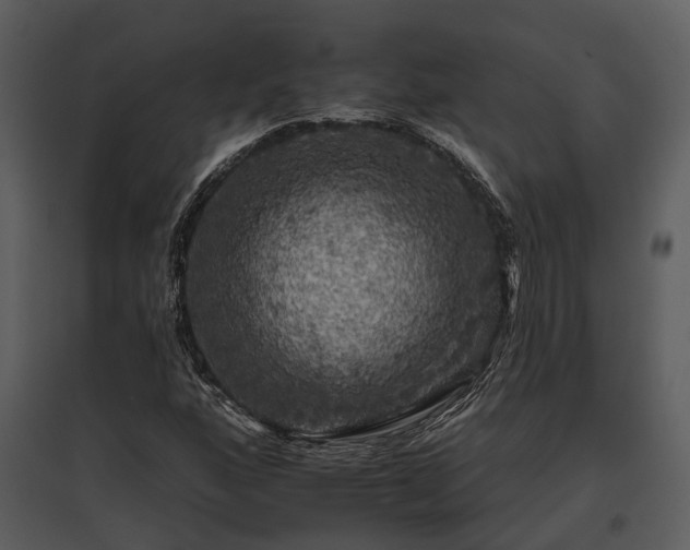 X0000095671160200801151057